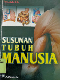 Susunan Tubuh Manusia